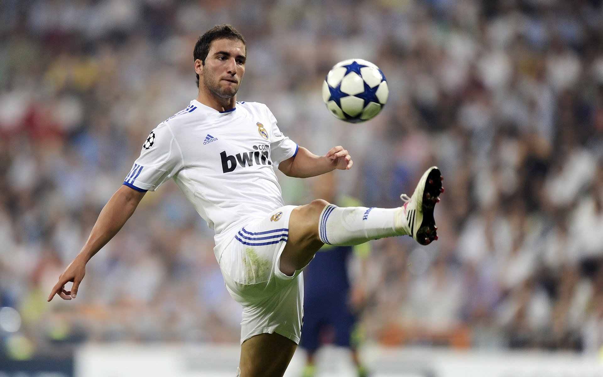 当岭南醒狮遇见北美狼嚎，锡安用暴力美学撕裂篮球次元壁