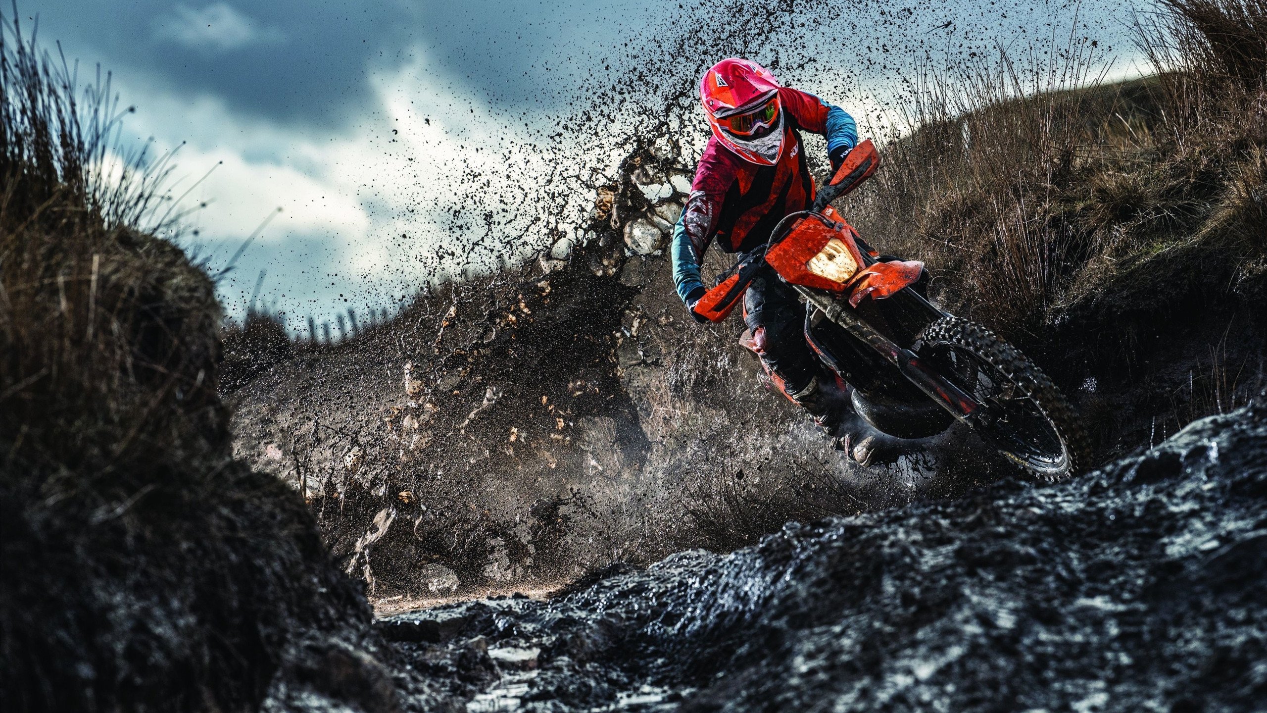 多特蒙德冲垮尤文，戈麦斯关键回合不手软，铁血意志铸就逆转传奇