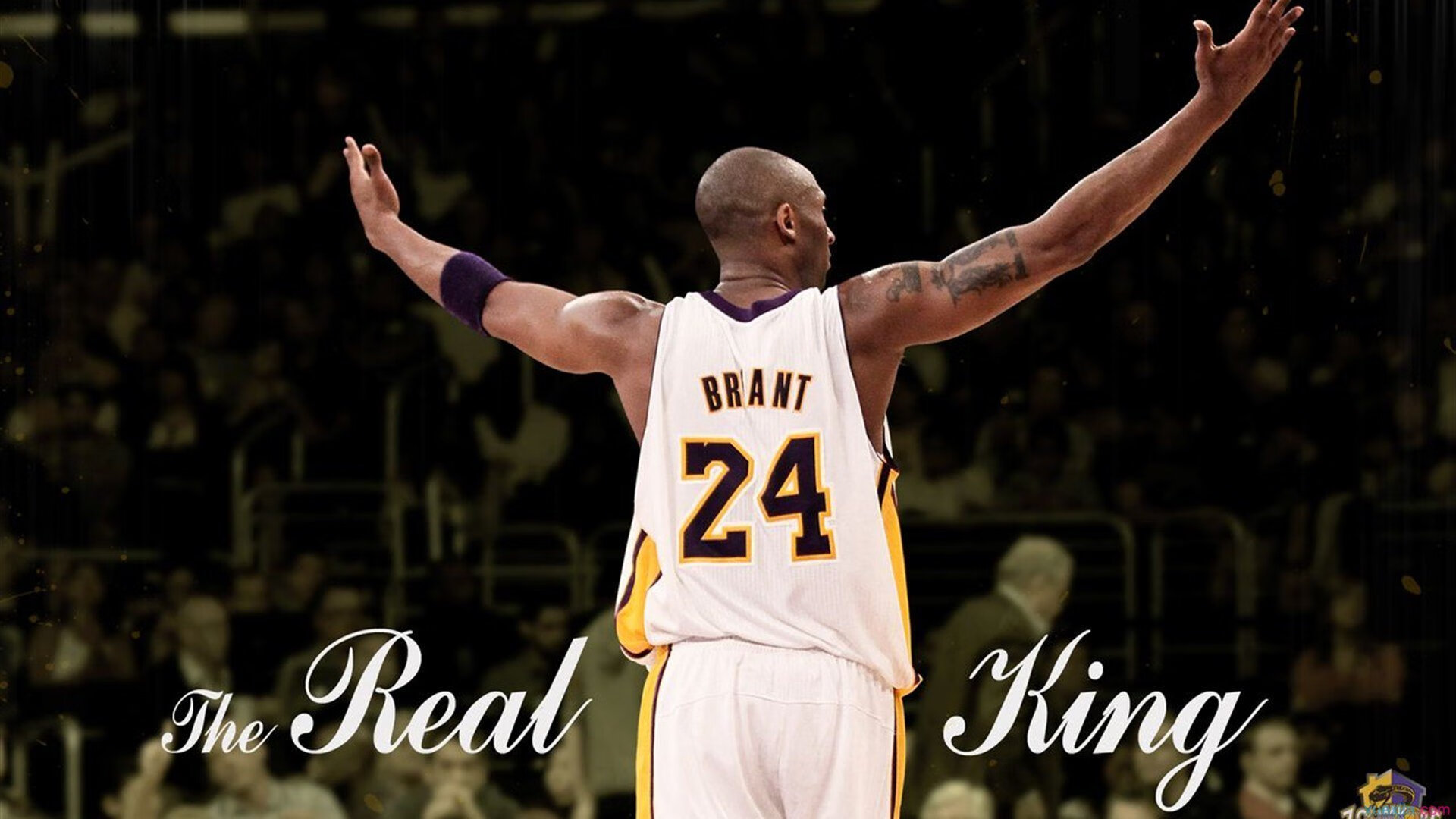 浓眉撕裂铁血防线，当吉林硬骨头遇上美式利刃